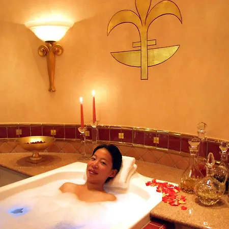Hotel Hotel&spa Fontenay